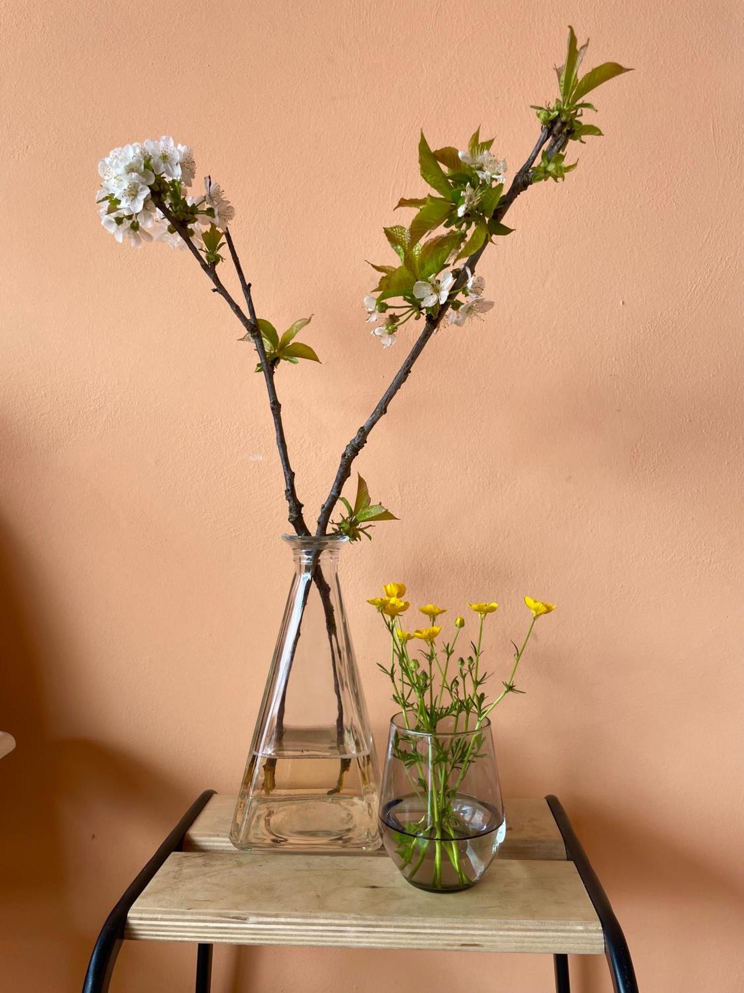 Studio Rosa Miagliano Exterior photo
